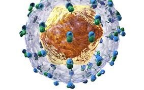 Czym jest oraz jak uniknąć zakażeniu HCV