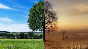 Jak możemy przeciwdziałać zmianom klimatycznym?