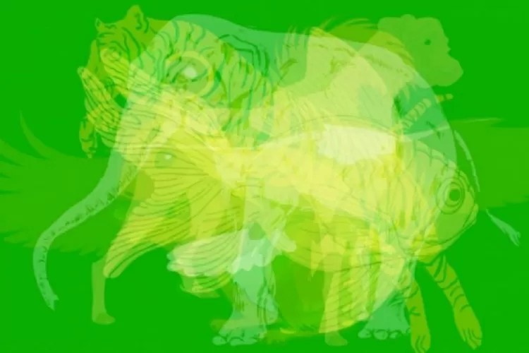 Test psychologiczny wskazujący twoje najmocniejsze strony.