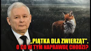 Piątka dla zwierząt okiem rolnika
