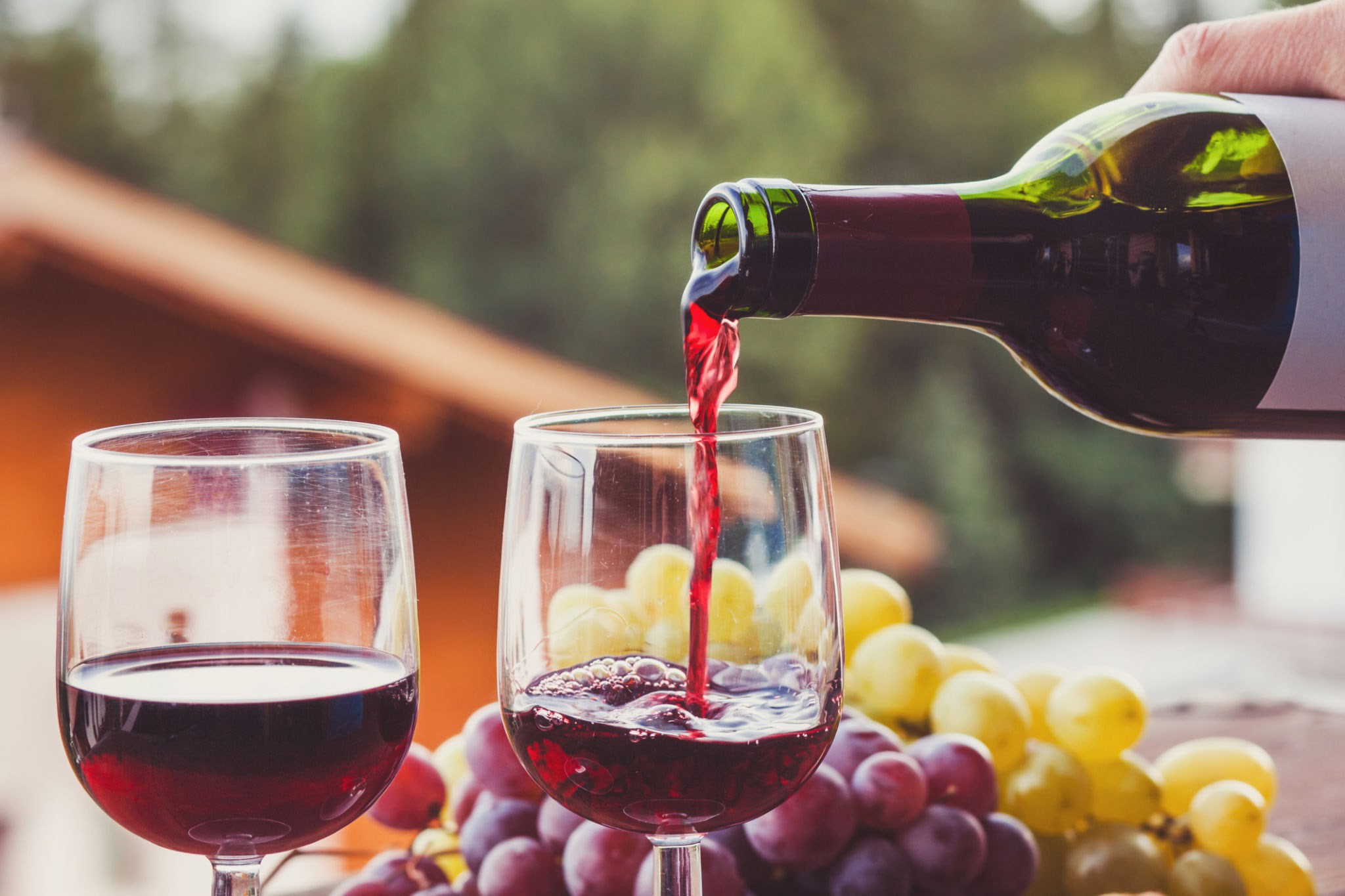 Wino - czyli wszystko co powinieneś wiedzieć o tym trunku.