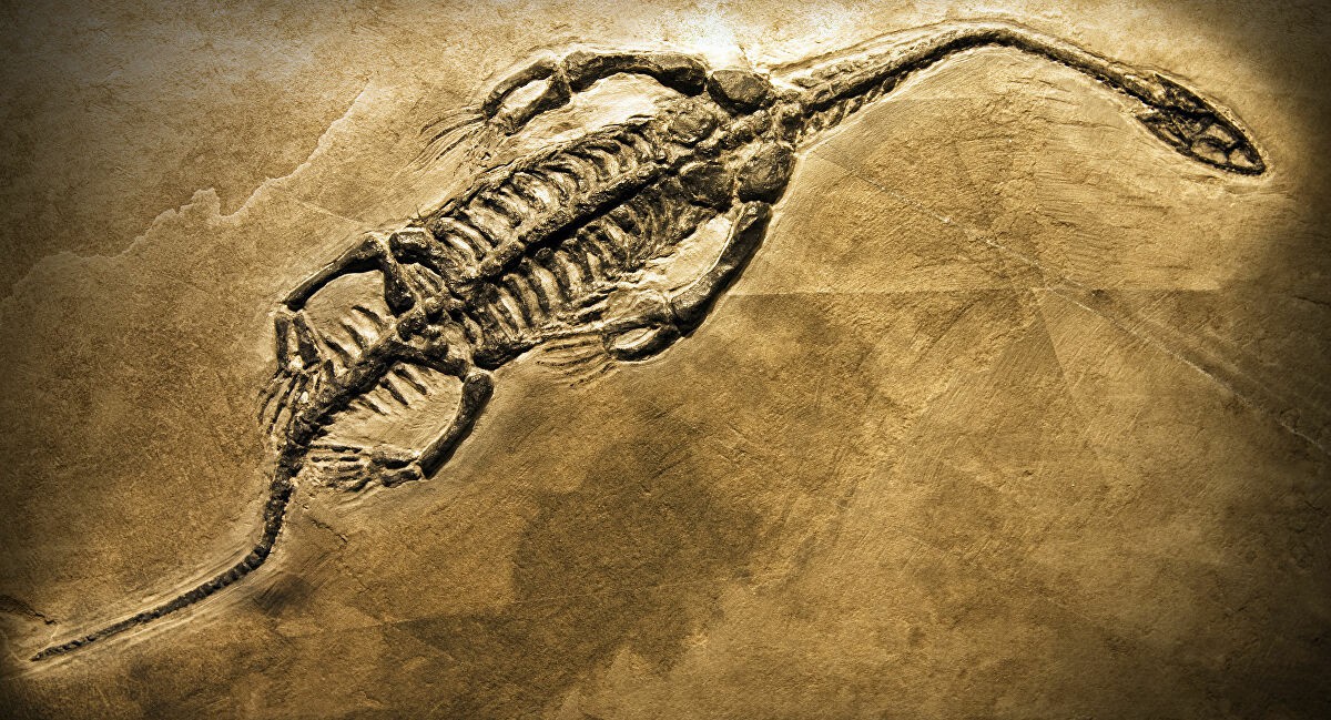 Dlaczego i kiedy wyginęły dinozaury?