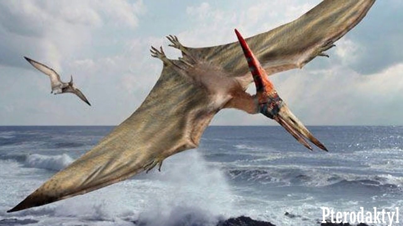 Pierwsze latające dinozaury.