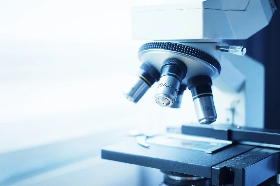 Dlaczego mikroskop powiększa?