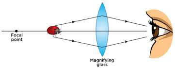 Jak to się dzieje, że widzimy?