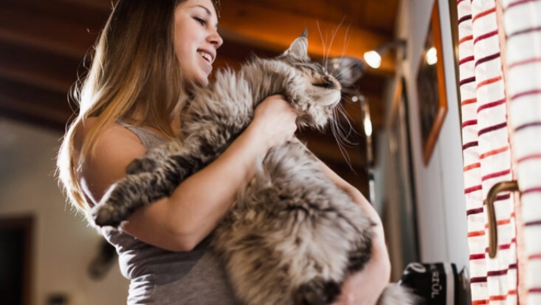 Czy kot stanowi zagrożenie dla niemowlaka?