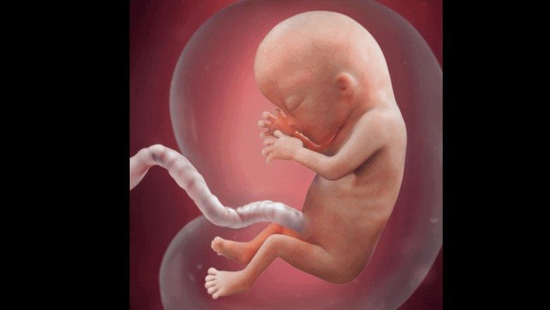 Co to znaczy, że dziecko jest małe jak na dany etap ciąży?