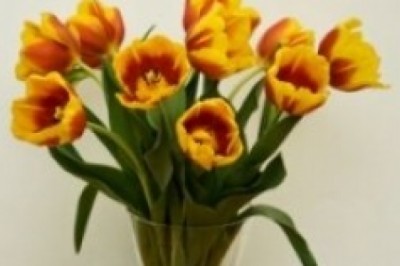 Jak wyczyścić wąski szklany wazon?