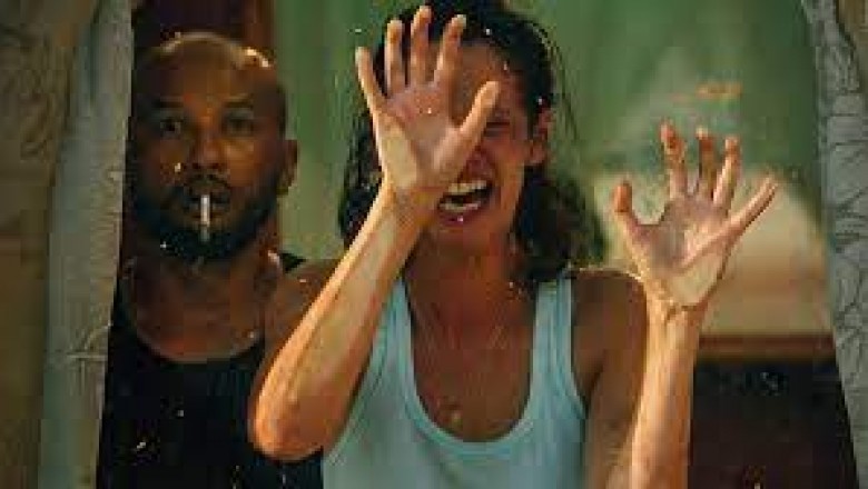 Numer 37 - cały film online za darmo z lektorem.