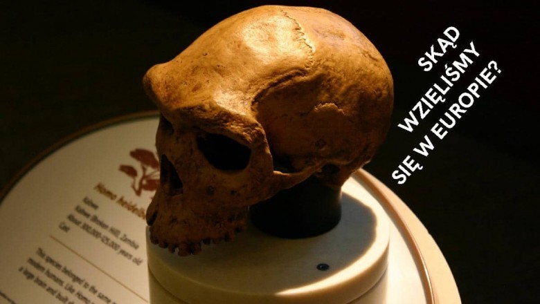 Homo Sapiens - Początki ludzkości - cały film dokumentalny za darmo z lektorem.