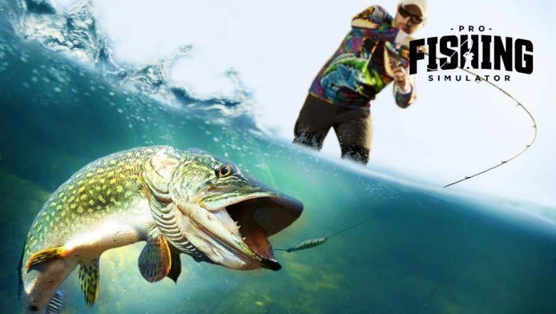 Darmowy symulator łowienia ryb online - Gra Fishing Simulator