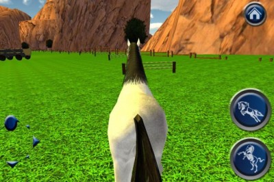 Symulator jazdy konnej czyli symulator konia.