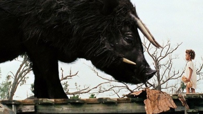 Bestie z południowych krain( Beasts of the Southern Wild ) 2012 - Gdzie obejrzeć cały film online za darmo z lektorem?