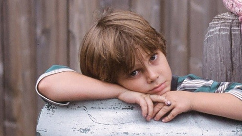 Boyhood (2014) - Gdzie obejrzeć cały film online za darmo z lektorem?