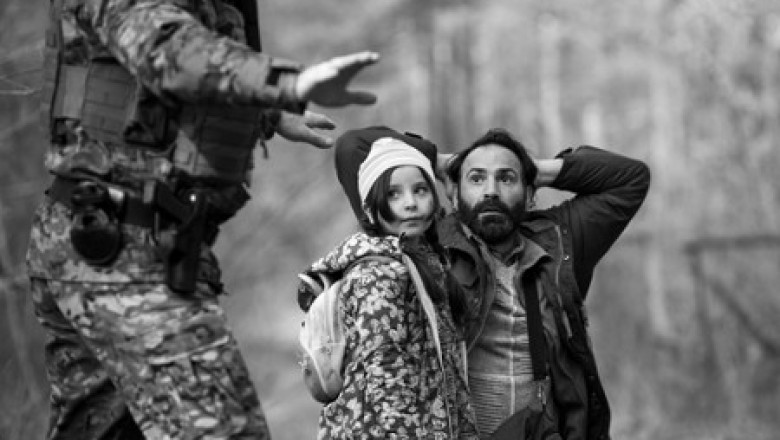 Zielona granica (2023) - Cały Film Online •Gdzie obejrzeć za darmo • Recenzja