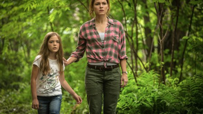 Smętarz dla zwierzaków (Pet Sematary) 2019 - Film Online •Gdzie obejrzeć za darmo • Recenzja