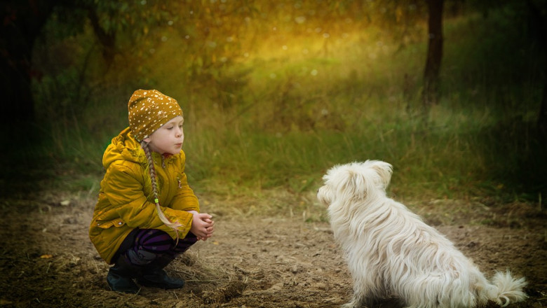 Bez dzieci, bez przyszłości: jak bezdzietni Polacy sprowadzili nas do epoki migracj