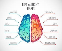 Jakie są różnice między prawą, a lewą półkulą mózgu