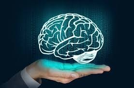 Sennik: mózg, operacja mózgu, wycinanie przedmiotu z mózgu