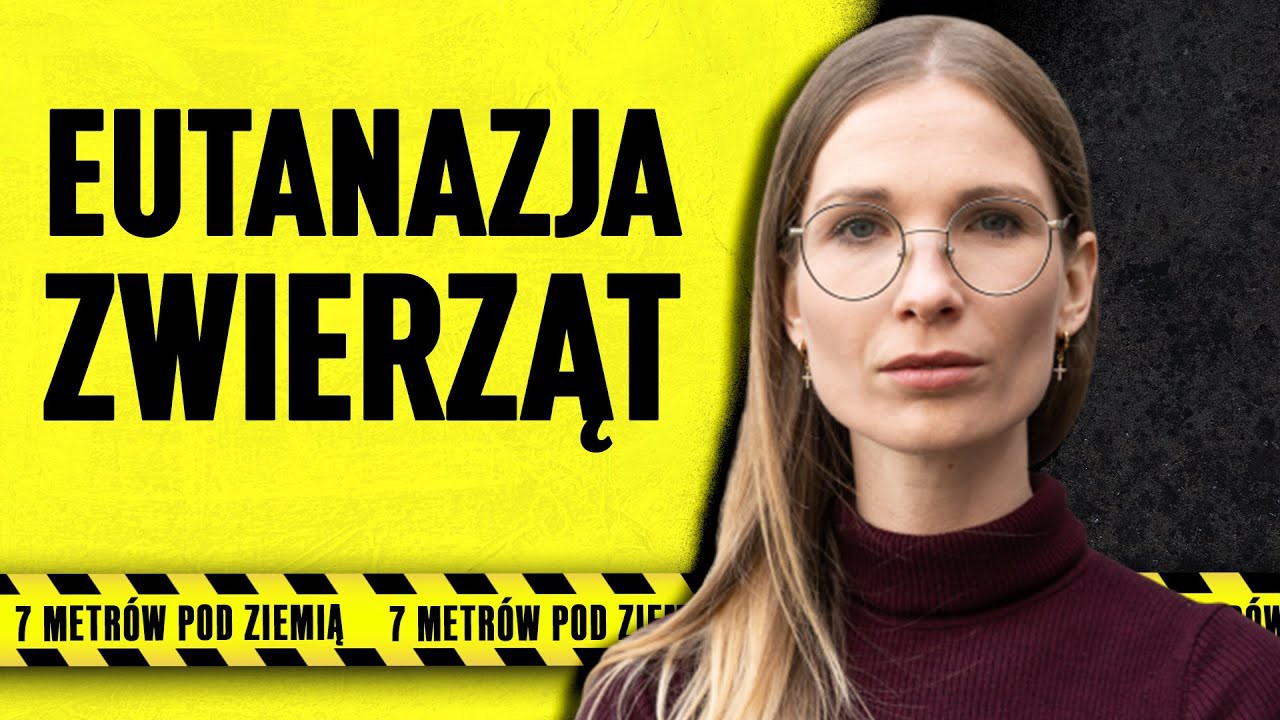 Eutanazja zwierząt - wywiad z lekarzem weterynarii