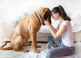 Jak kochać pieszczocha?