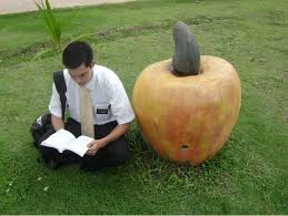 Po czym poznać, że ktoś jest członkiem(pod wpływem) sekty?