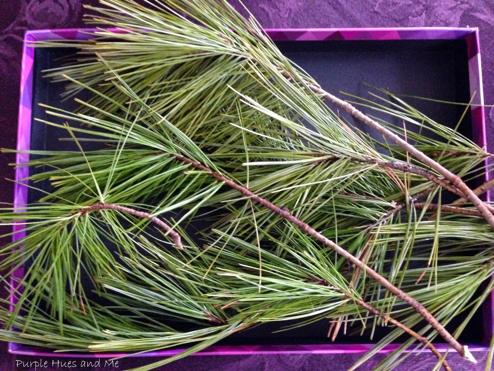 Ujędrniający, antyseptyczny tonik do twarzy z igieł sosnowych - DIY domowej roboty