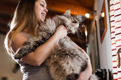 Czy kot stanowi zagrożenie dla niemowlaka?