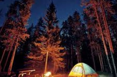 Co zrobić gdy musimy spędzić noc w lesie? Jak spędzić noc w lesie? Jakie miejsce na biwak w lesie