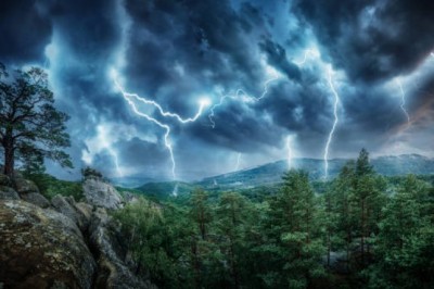 Jak zachować się w lesie podczas burzy?