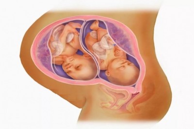 Jestem w ciąży wielopłodowej(bliźniaczej). Czym będzie się ona różnić od pojedynczej?