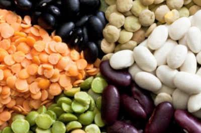 Co przyspiesza proces trawienia? Jakie ziola na chudniecie? Co pobudza przemianę materii?  Jakie zioła na szybsza przemiane materii?