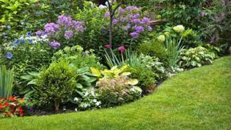 Jak stworzyć doskonałe warunki dla rozwoju roślinności wokół domu