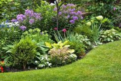 Jak stworzyć doskonałe warunki dla rozwoju roślinności wokół domu