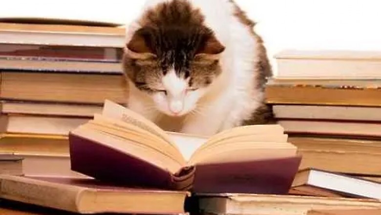 Sennik: agrafia, nieumiejętność czytania, czytanie.