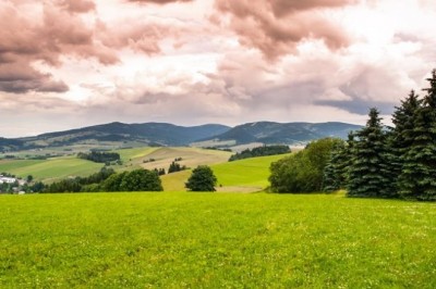Jak dbać o trawnik? Co zrobić żeby trawa była gęsta? Co dać żeby trawa była zielona? Jak odnowić trawnik na wiosnę?