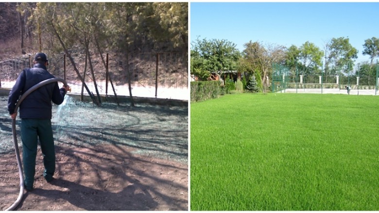 Jak zrobić dosiewke trawy? Czy można dosiewać trawę? Jak poprawnie dosiewać trawę?