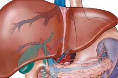 Co pić na oczyszczenie wątroby? Jak najszybciej oczyścić wątrobę? Jak domowym sposobem oczyścić wątrobę? Co pić na stłuszczenie wątroby?