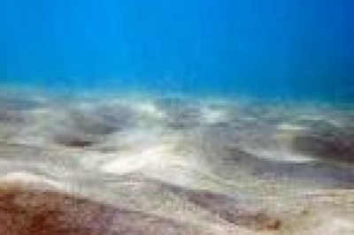 Jak powstały morza i oceany? Jak wygląda dno oceanu? Dlaczego woda morska jest słona?