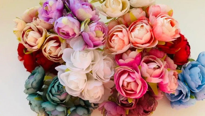 Kiedy przesadzać piwonie?