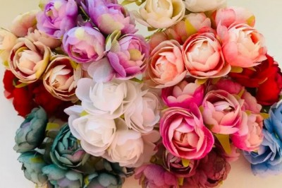 Kiedy przesadzać piwonie?