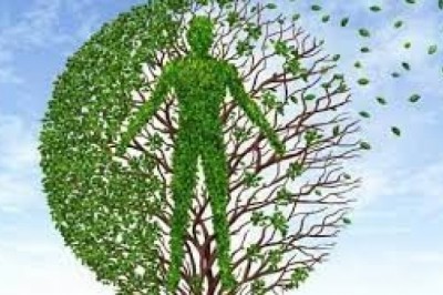 Dlaczego badamy krew?  Kiedy robić badania krwi? Jakie wyniki badań świadczą o nowotworze?