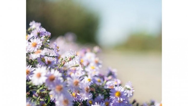 Jak dbać o skórę na wiosnę?