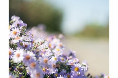 Jak dbać o skórę na wiosnę?