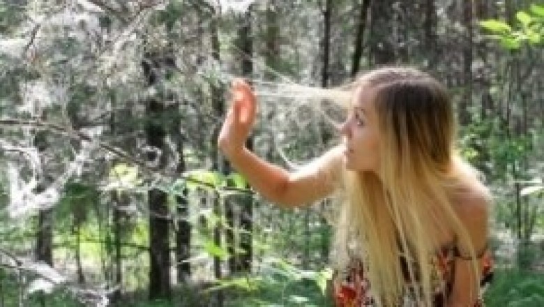 Jak pielęgnować włosy cienkie? Co jest dobre na cienkie włosy? Jak zagęścić rzadkie włosy?