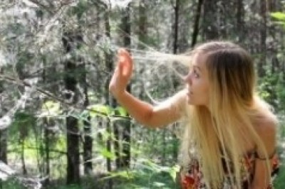 Jak pielęgnować włosy cienkie? Co jest dobre na cienkie włosy? Jak zagęścić rzadkie włosy?