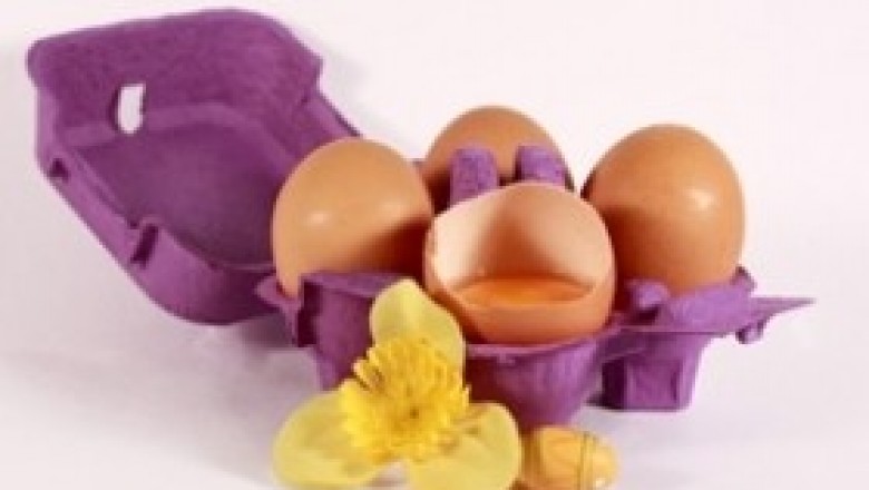 Czy jajka są zdrowe? Ile jajek mozna zjeść dziennie? Jak przechowywać jajka?