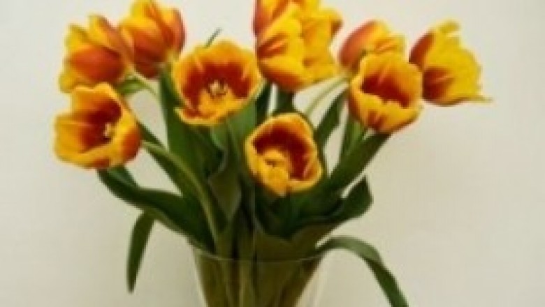 Jak wyczyścić wąski szklany wazon?