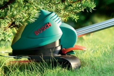 Czym przycinać krzewy w ogrodzie? Kiedy przycinać krzewy? Jakie krzewy przycinamy na wiosnę?