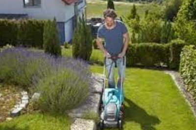 Jak zregenerować trawnik po zimie? Jakie zabiegi wiosną na trawnik?